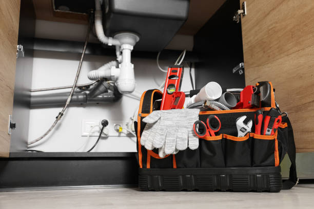 Best Leak Detection Services  in Carney, MD