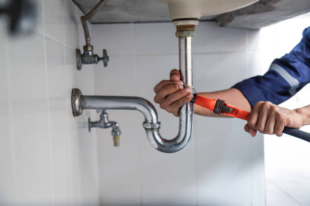 Best Local Plumber Services  in Carney, MD
