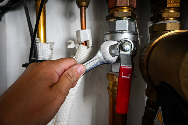 Best Shower Repair Services  in Carney, MD